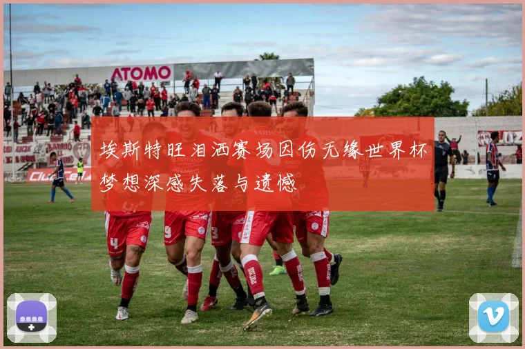 埃斯特旺泪洒赛场因伤无缘世界杯梦想深感失落与遗憾