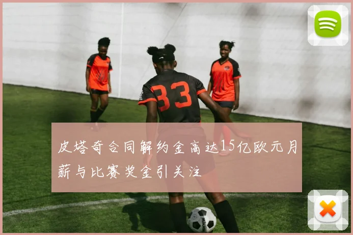 皮塔奇合同解约金高达15亿欧元月薪与比赛奖金引关注